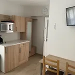 Csillag Virág