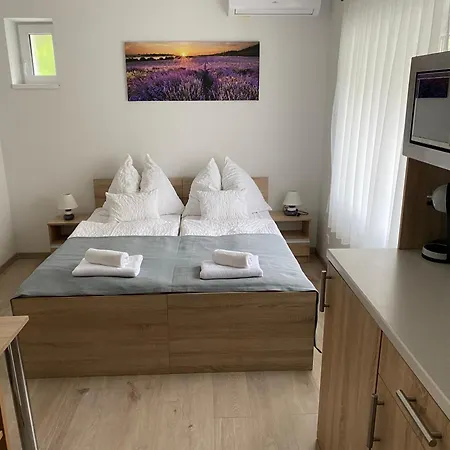 Csillag Virag Vendeghaz *