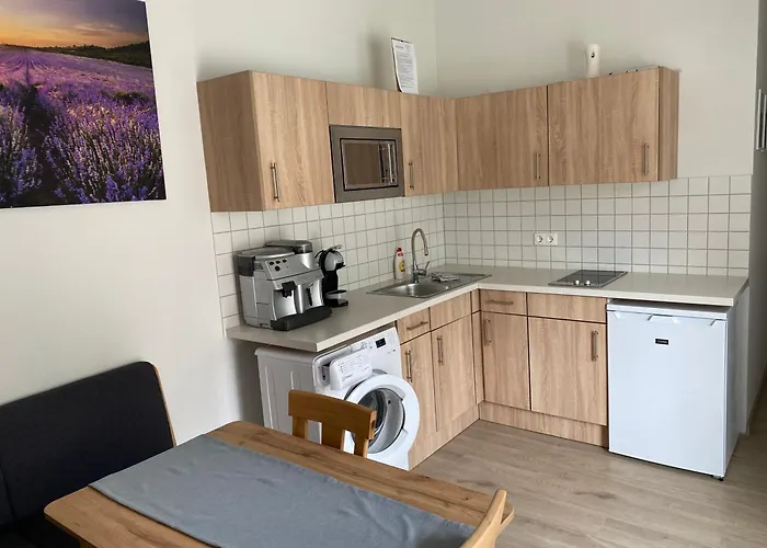 Csillag Virag Vendeghaz